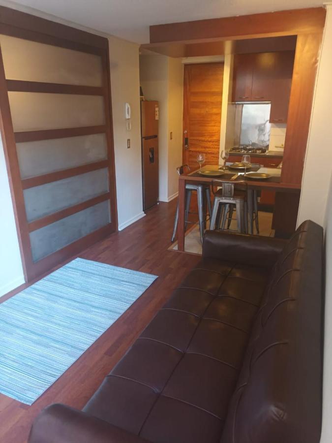 Acogedor Y Renovado Departamento Santiago del Cile